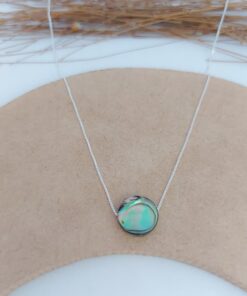 Alternative view of Colar abalone
